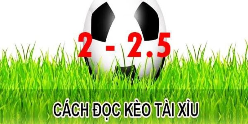 Kèo tài xỉu 2-2.5 là gì? Cách chơi kèo tài xỉu hiệu quả nhất 2 Tìm hiểu chi tiết về kèo tài xỉu 2-2.5 là gì?