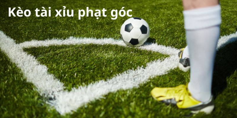 Phong cách thi đấu của hai đội cũng ảnh hưởng đến kèo tài xỉu phạt góc